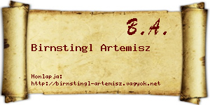 Birnstingl Artemisz névjegykártya